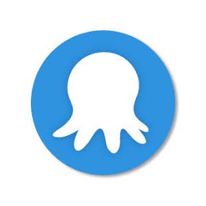 Octopus Cloud - Starter